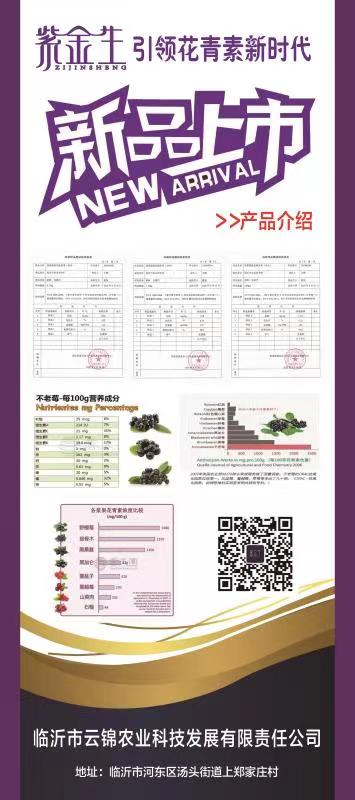 紫金生不老莓(图13)